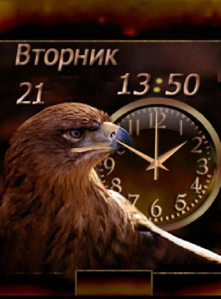 Сокол