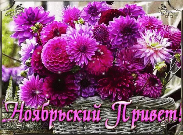 file_79503338