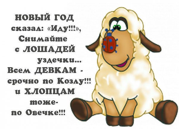 getImag
