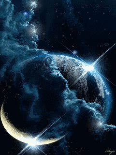 21572817