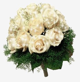 Букет белых роз-анимация