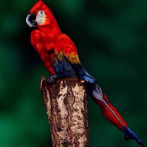 Бодиарт на фото девушка присмотритесь