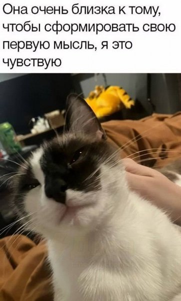 IMG 20260519 233958 642
