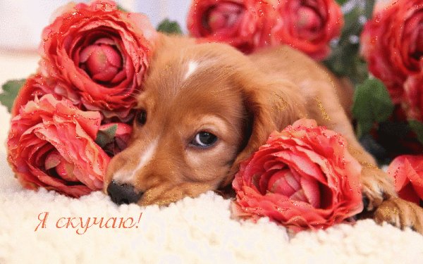 0 28b165 37dbb66f orig