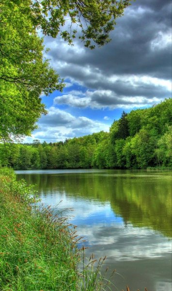 21a3457110475719db79e4c31800107f