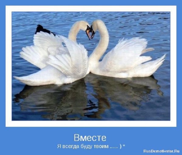ВМЕСТЕ