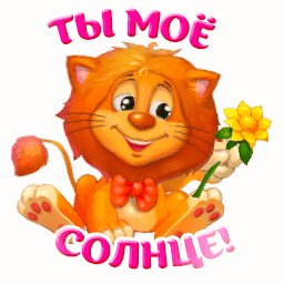 солнце 010901