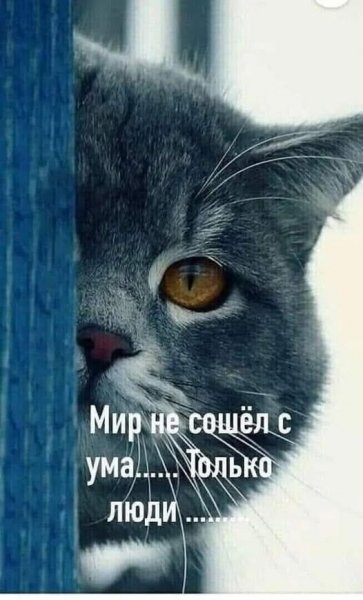 file_101215133