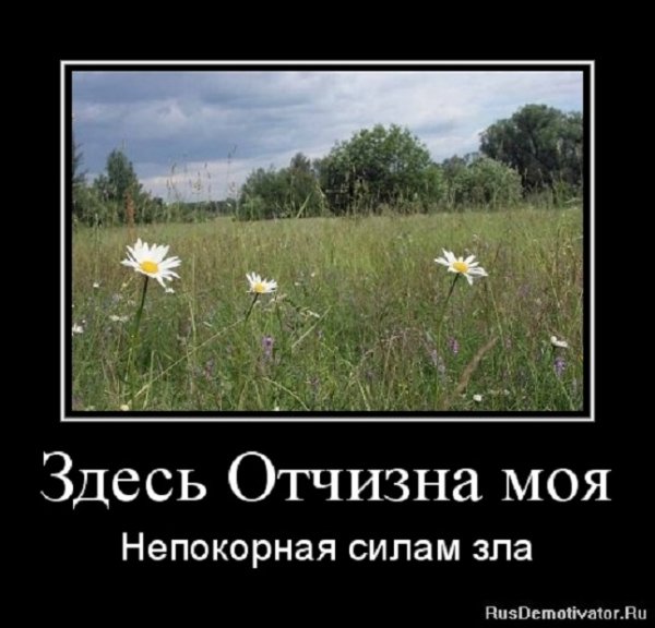 Здесь отчизна моя