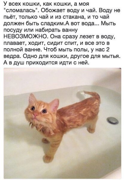 Сломался