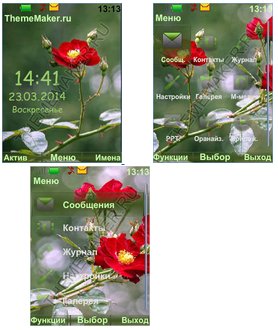 SHipovnik tsvetet... (havafara)