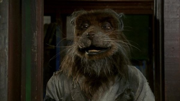 MKL88XHaZwKx29hzQh5O44eyzTDbe5eSnNkclRlo