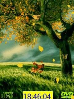 theme 571