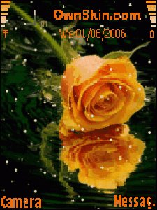 theme16838 1