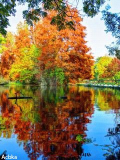 file_71270145