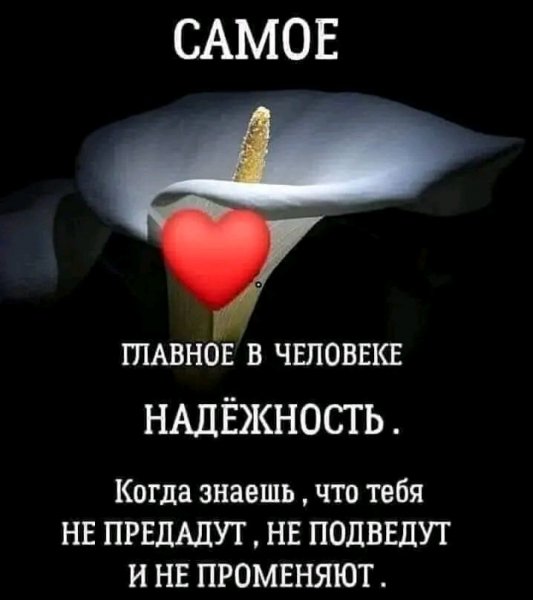 file_101170760