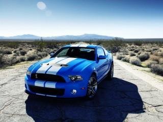 Ford Mustang 320x240