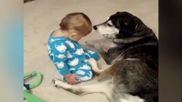 gif 1461928706