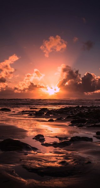 file_102201884