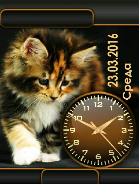 Котенок