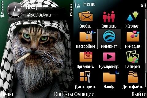 Mr.cat