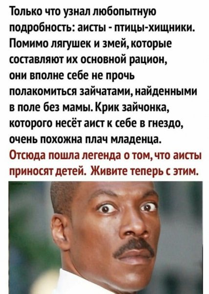 c3c5e39c1e9fdc86e35b0857c133014a