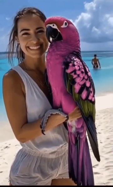 Screenshot 20251030-064805~2