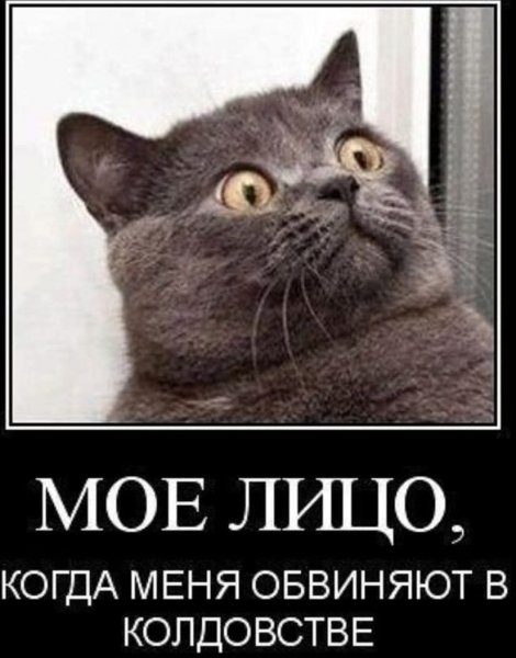 FB IMG 1779122674463