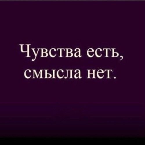 a581bceb87a38fb38125c846c3f5a