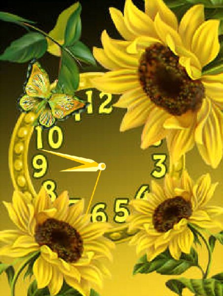 Подсолнухи