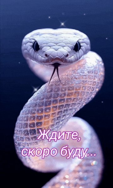 file_98608319