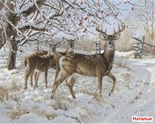 file_94875858