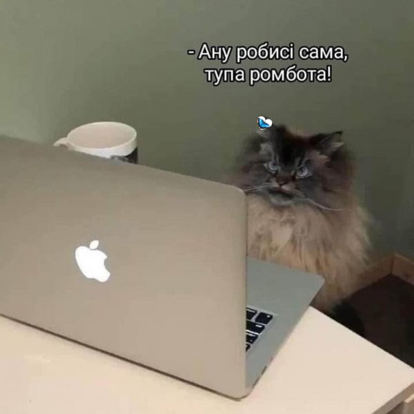 FB IMG 1776779033629