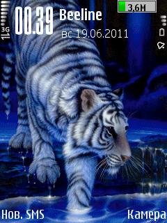 White Tiger