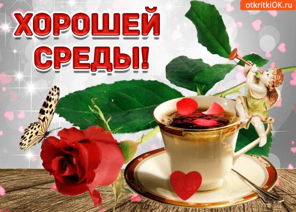 khoroshey-sredy-uspekhov-vo-vsem-50784-4091572