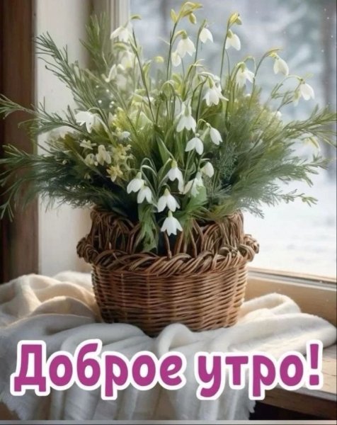 IMG 20260219 212140 455