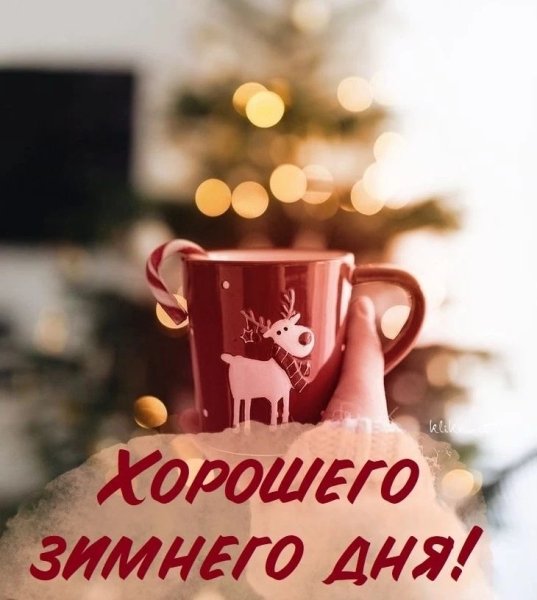 IMG 20260123 154614 071