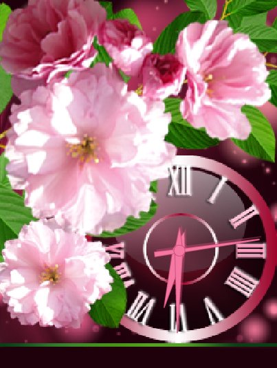 Сакура (beauty)