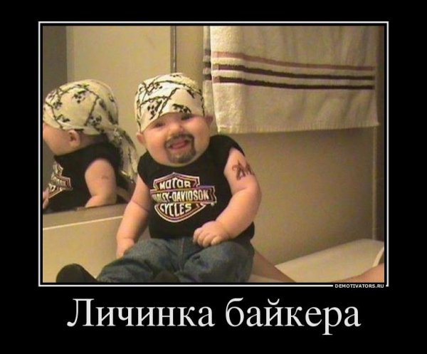 Naruto - Fighting Wang (Kitaj) 240 x 320