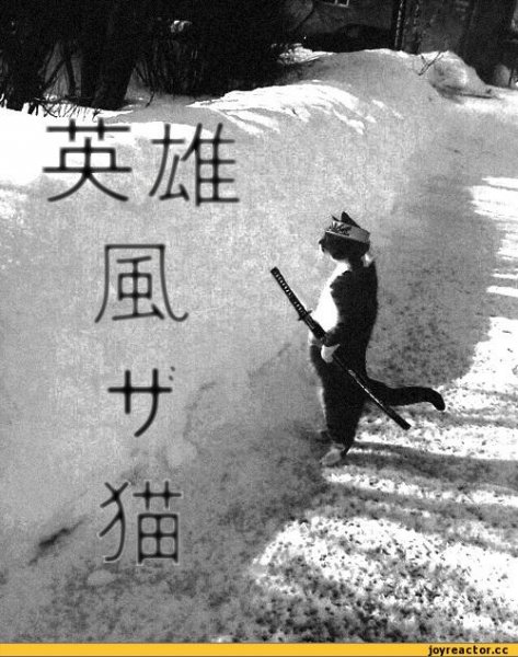 1.аниме супер анегдоты