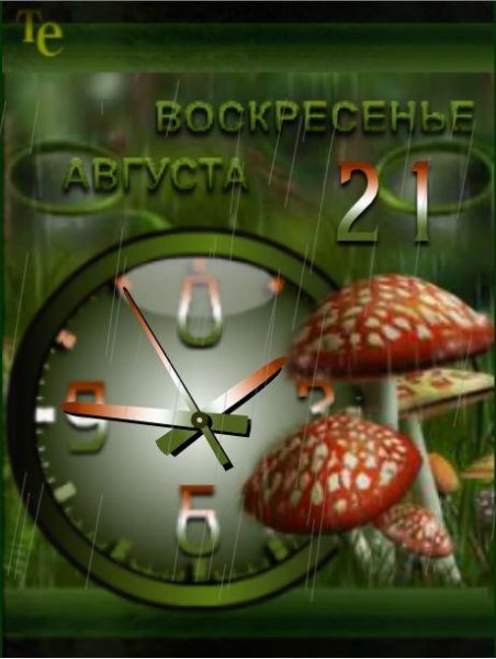 gribnoi dozhd... (TE)