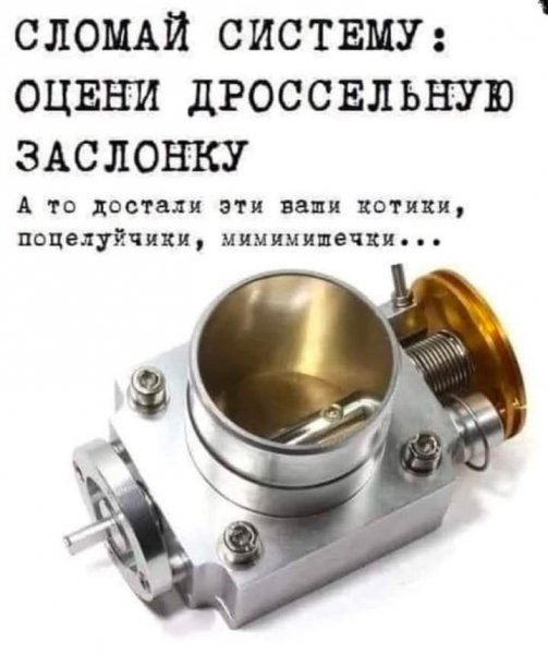 FB IMG 1734031515367