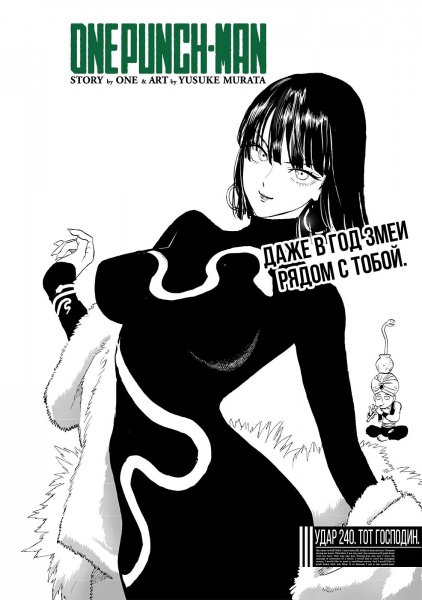 OnePunch-Man v34 ch240