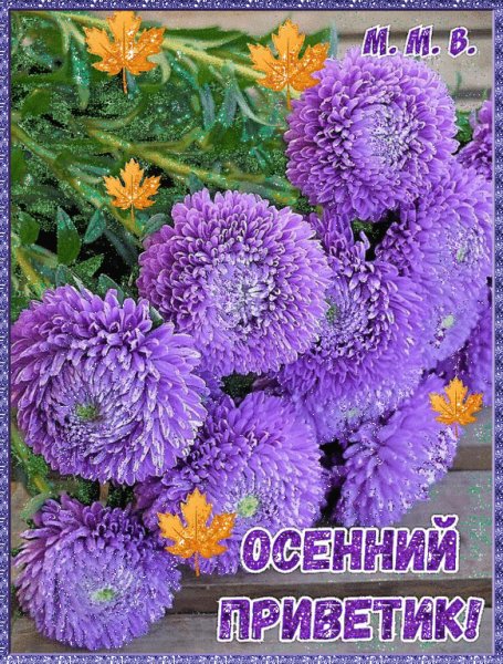 file_79333589