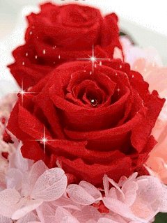 file_55623548