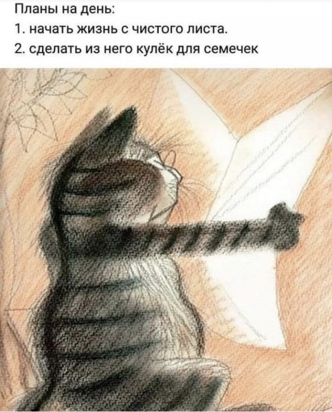 66af617d2535b6a3082e3137996ada82