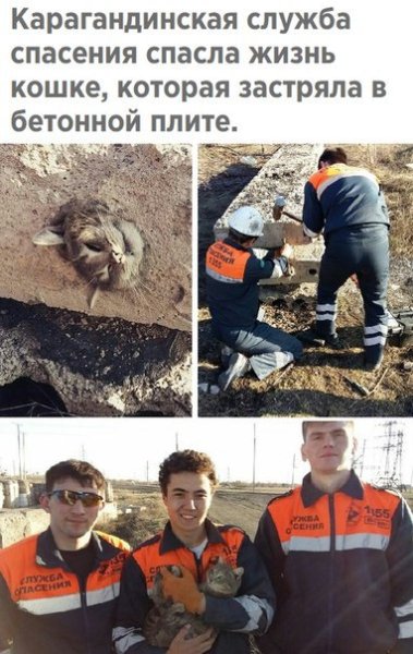 Фото сделаны в апреле 2018