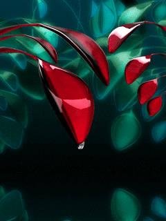 Dripdrop49