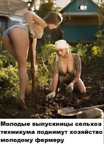 I - 2026-04-15T061056.363