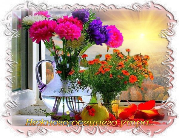 file_65224308